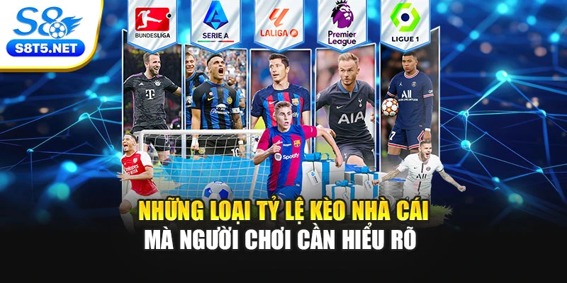 Những loại tỷ lệ kèo nhà cái mà người chơi cần hiểu rõ